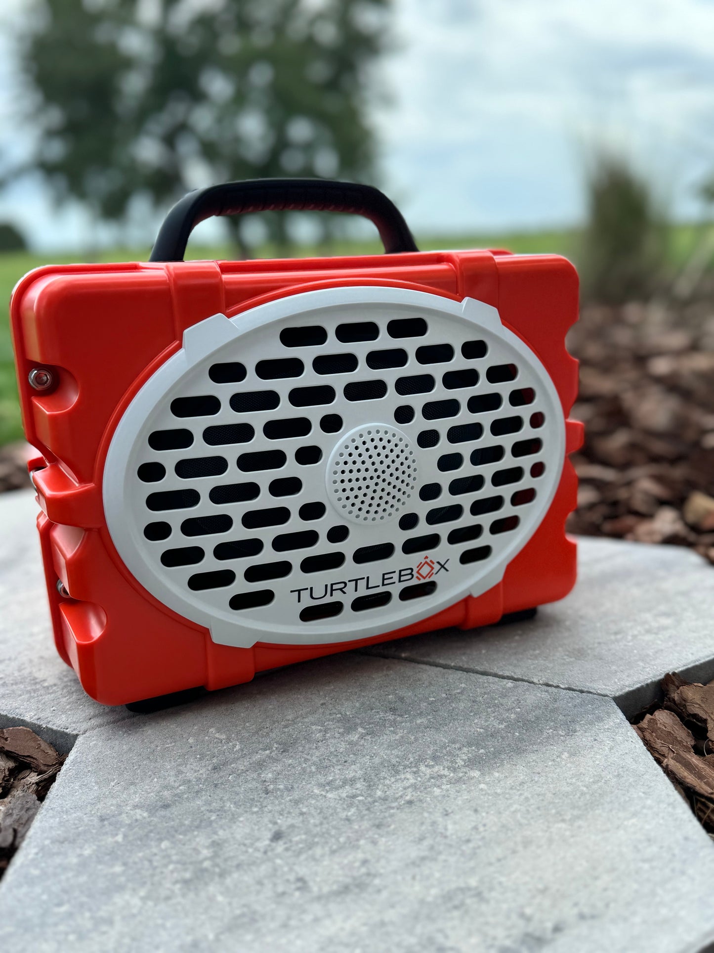 Turtle box speakers